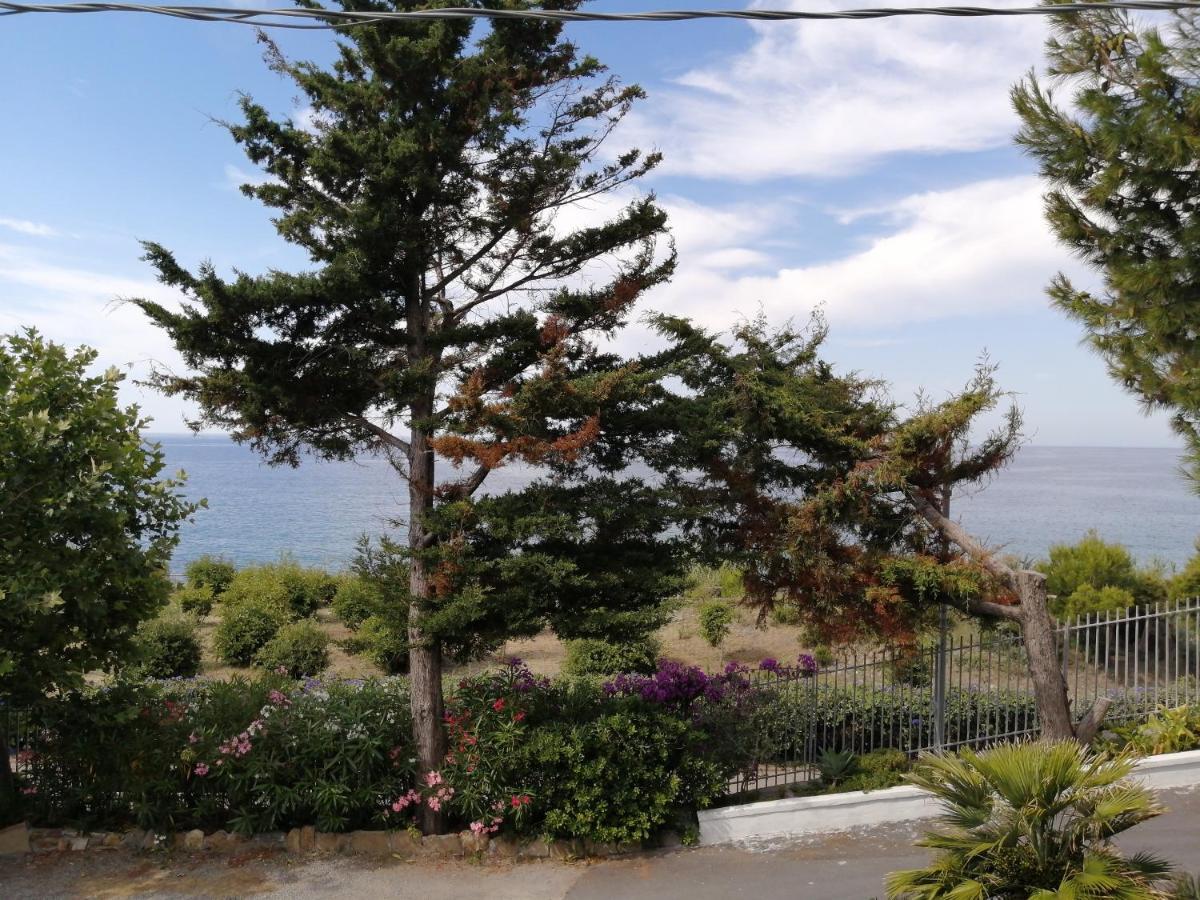 Studio - Vue sur Mer