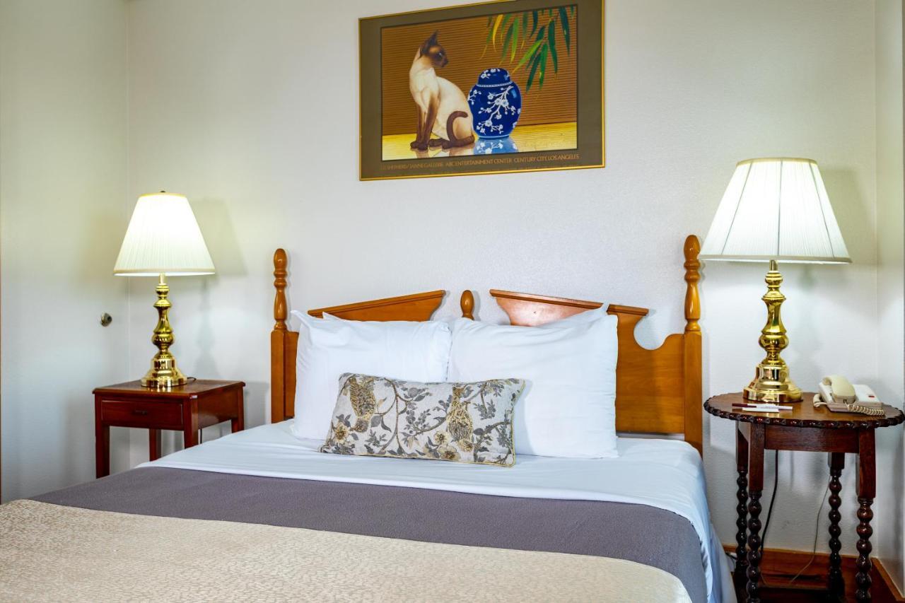 Suite Standard