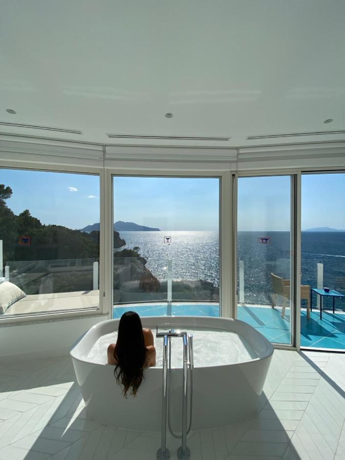 Suite Executive