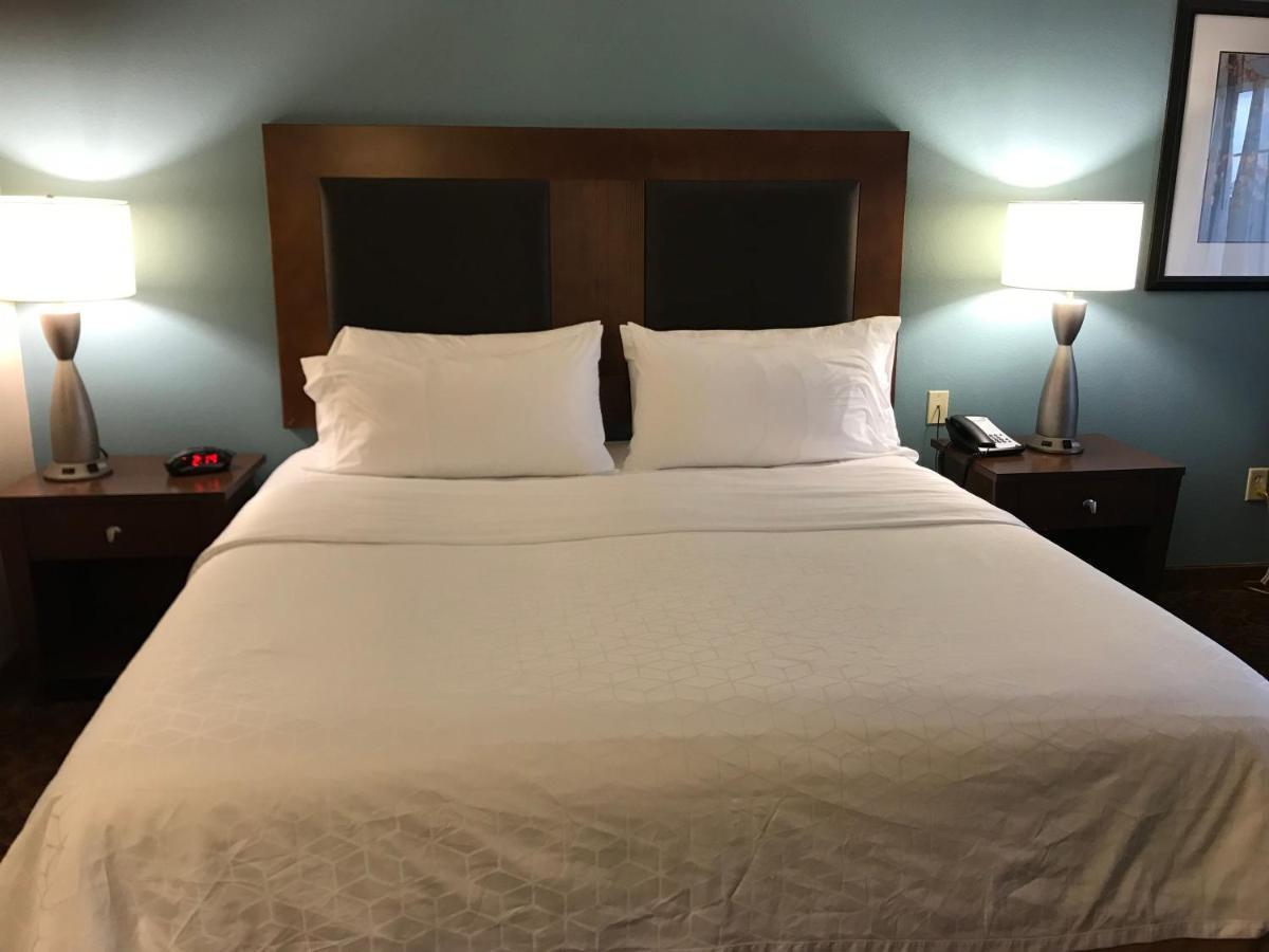 King Suite with Sofa Bed