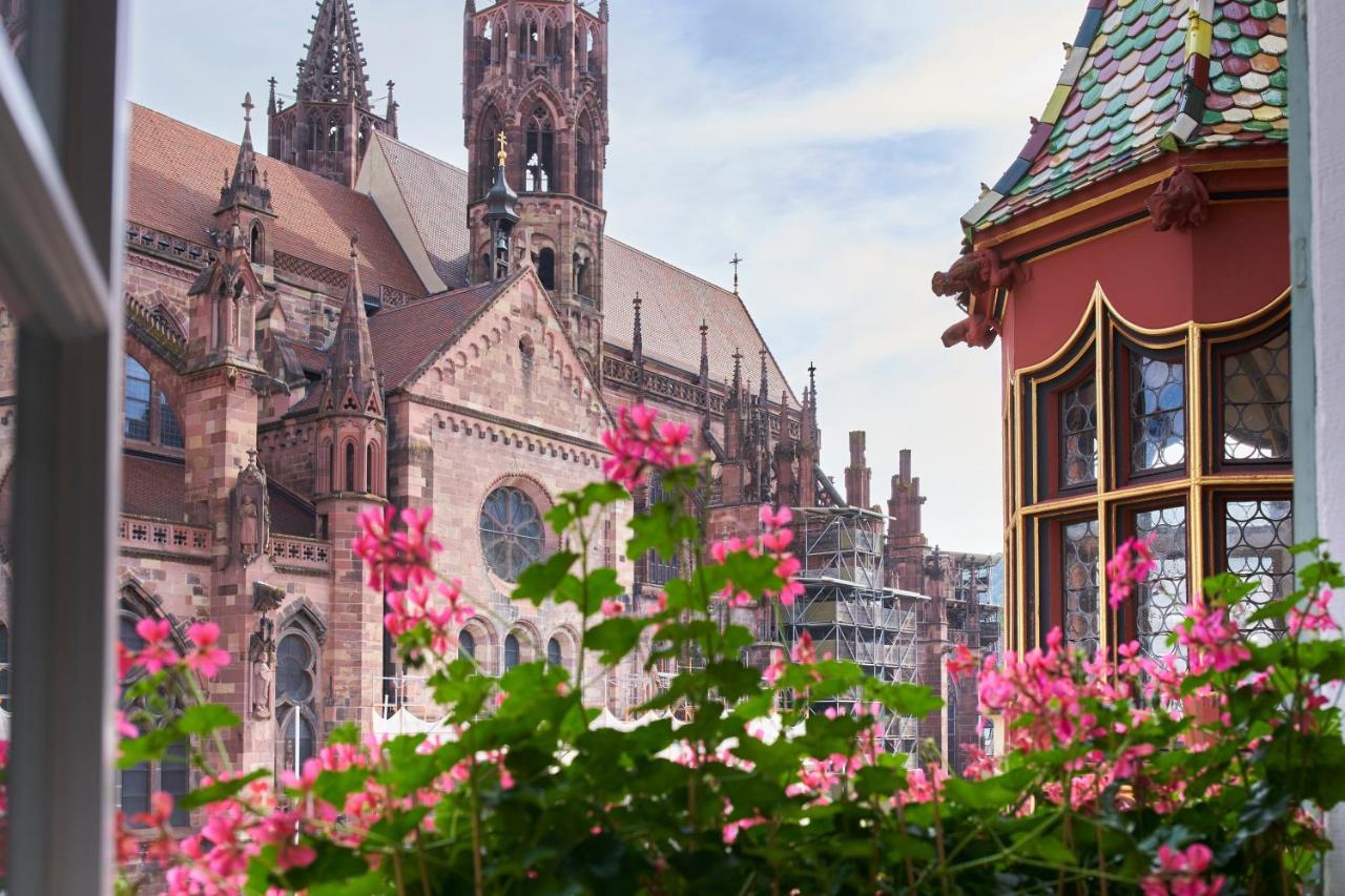 Exklusives Einzelzimmer - Haus Münsterplatz