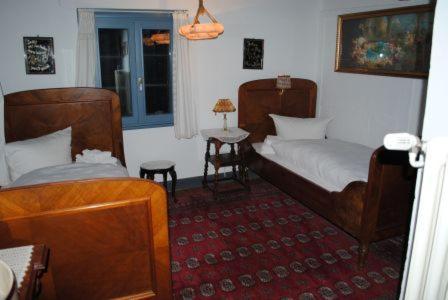 Doppel-/Zweibettzimmer mit Dusche