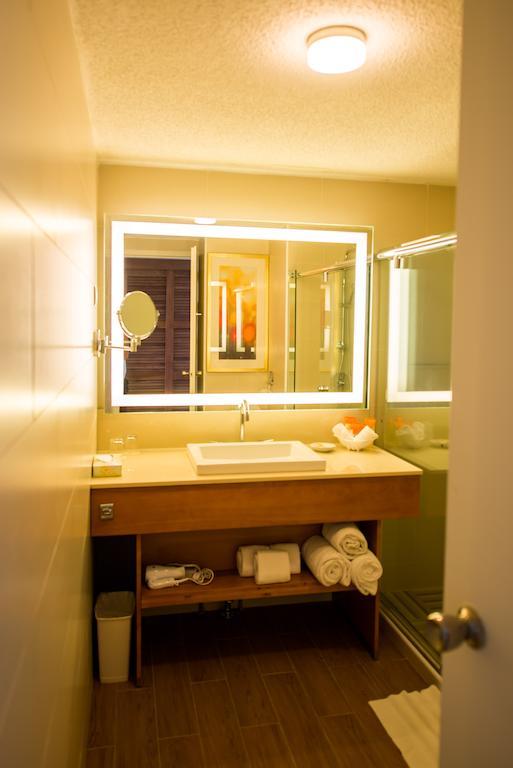 Premium Deluxe aan de Oceaanzijde met Kingsize Bed