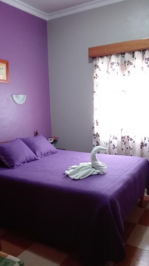 Superior Queen Room,1037222395:JPEG