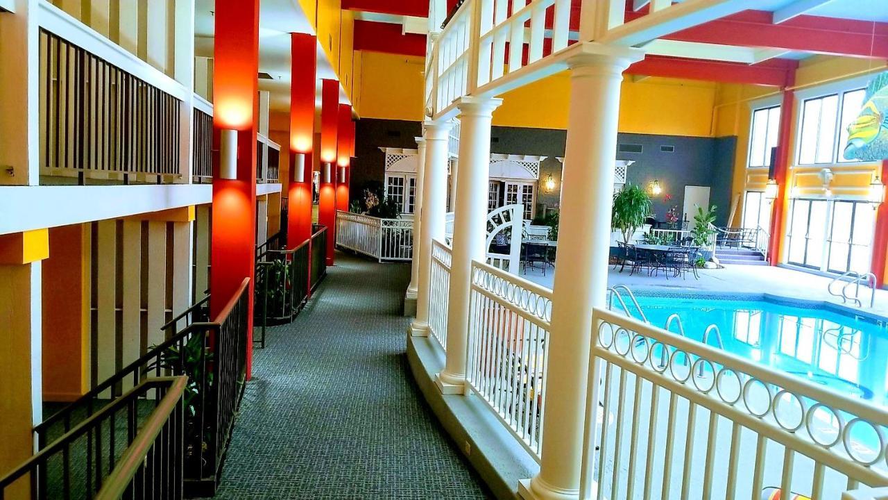 Deluxe King Room - Non-Smoking