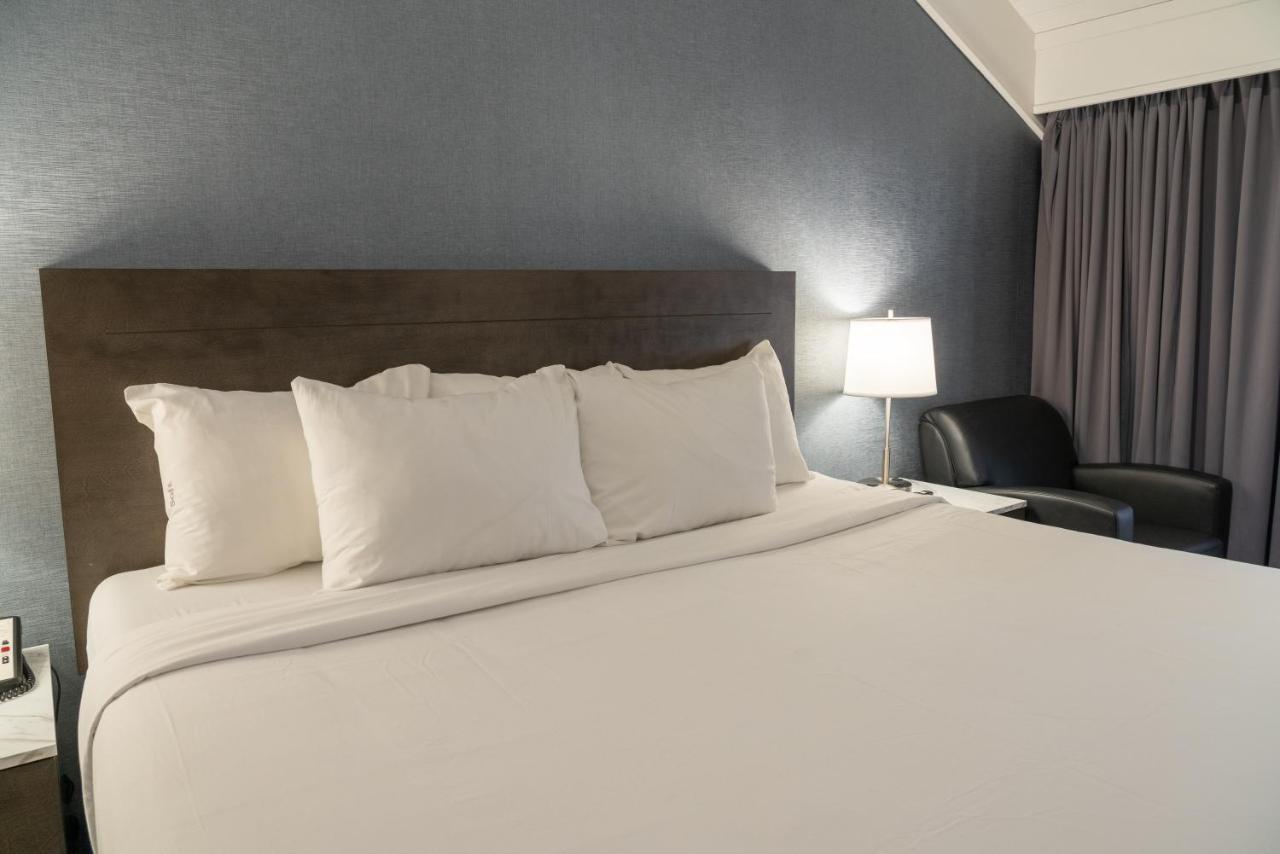 Suite met 2 Slaapkamers
