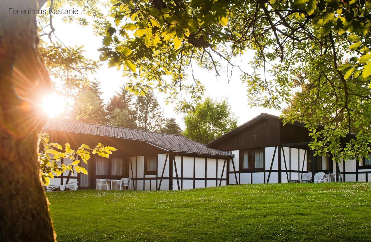 Vakantiehuis
