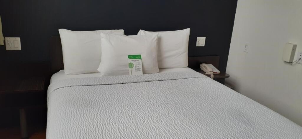 Kamer met Kingsize Bed