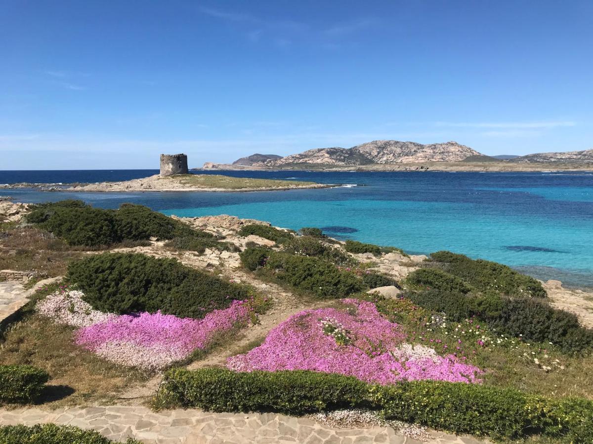 Appartamento con 1 Camera da Letto e Vista Mare
