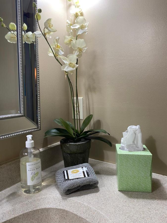 Deluxe King Suite - Pet Friendly