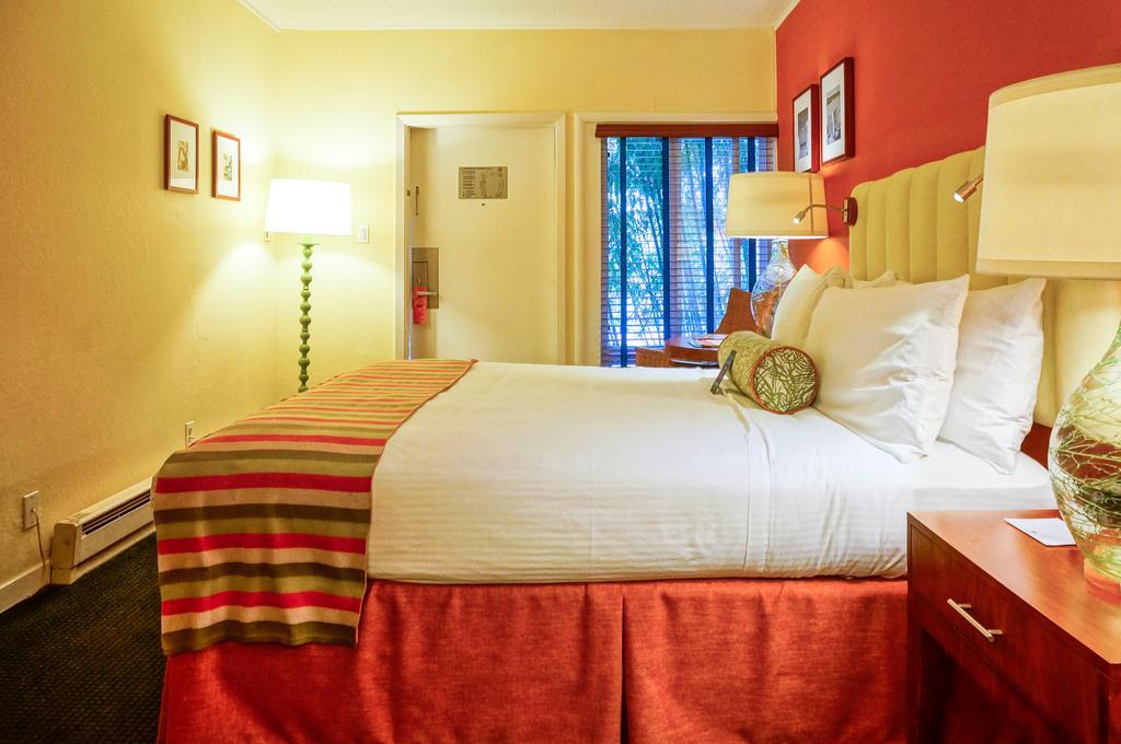 Habitación con vistas a la piscina - 1 cama grande