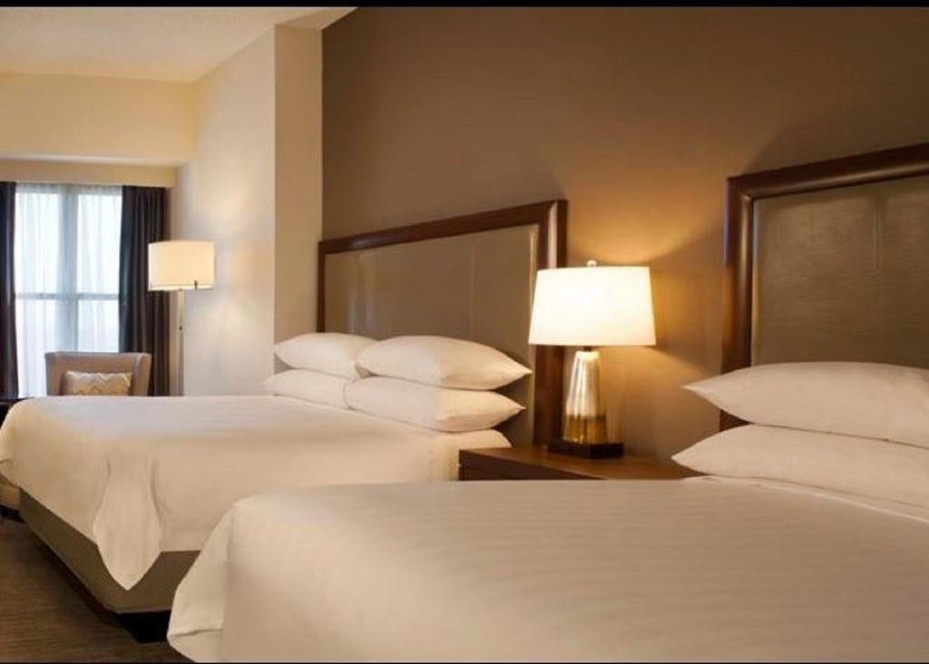 Double Room with Two Double Beds