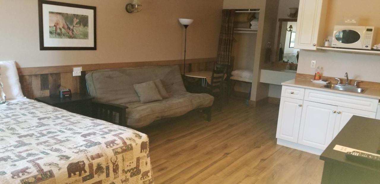Studio met Queensize Bed