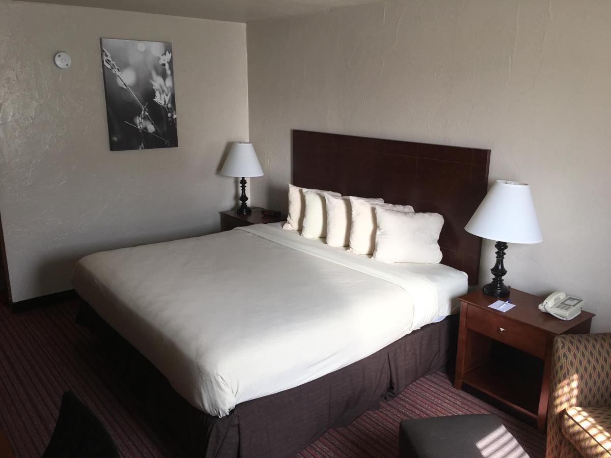 Single Room - Disability Access