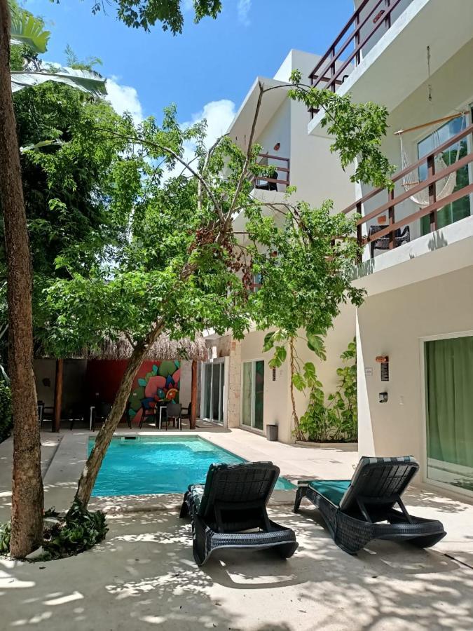 Appartement - Begane Grond