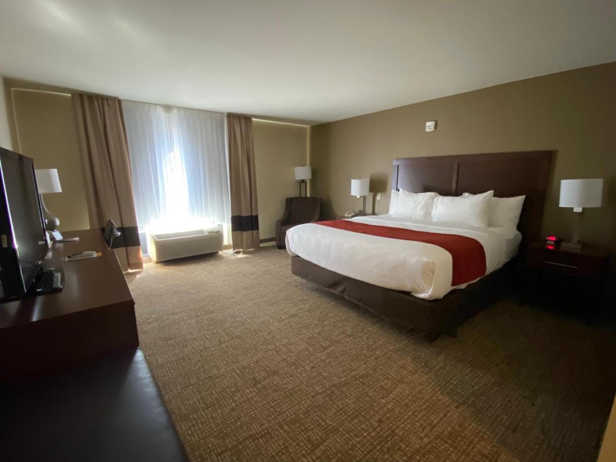 Standard King Room - Non Smoking