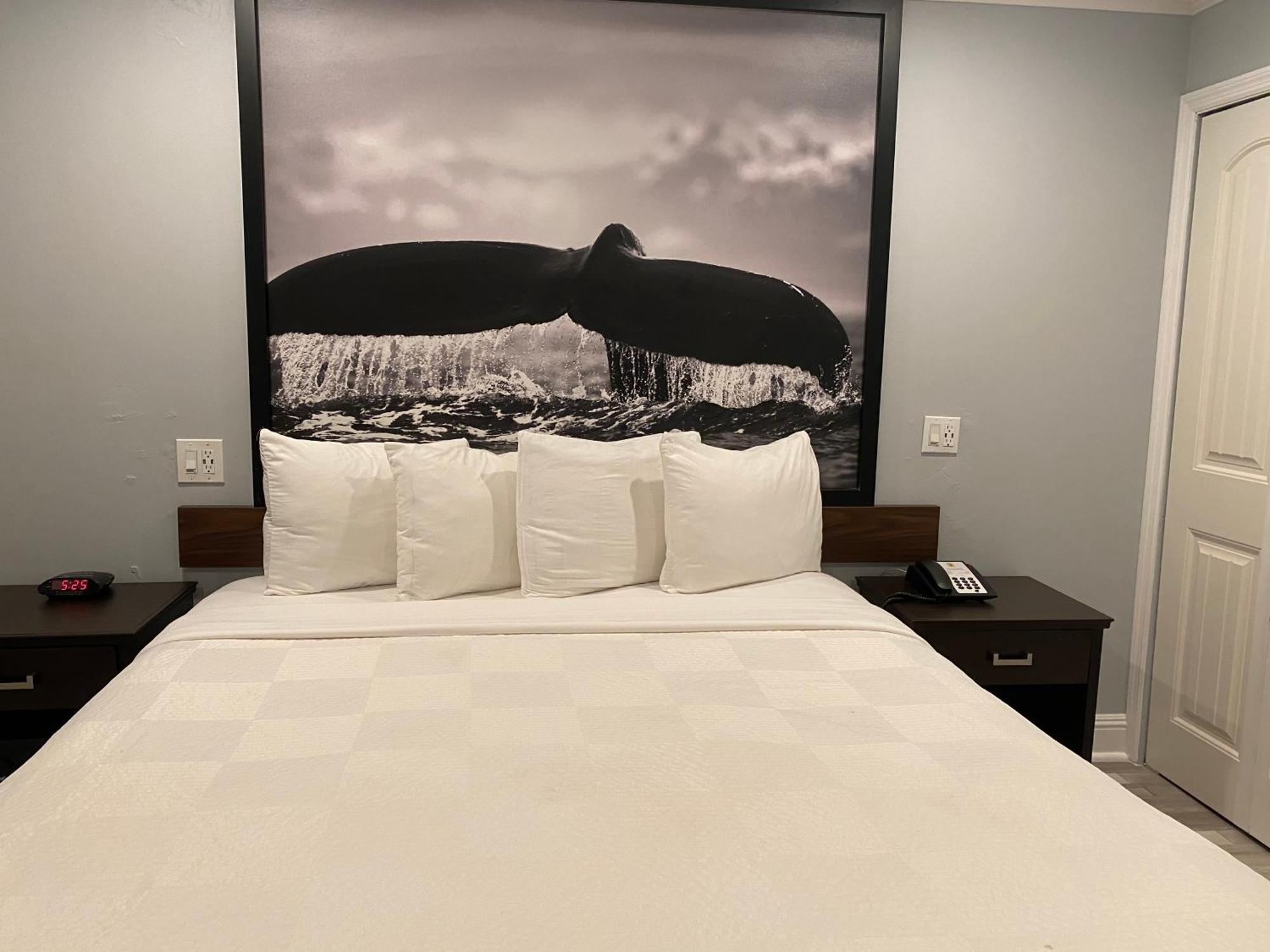 Chambre Lit King-Size - Non-Fumeurs