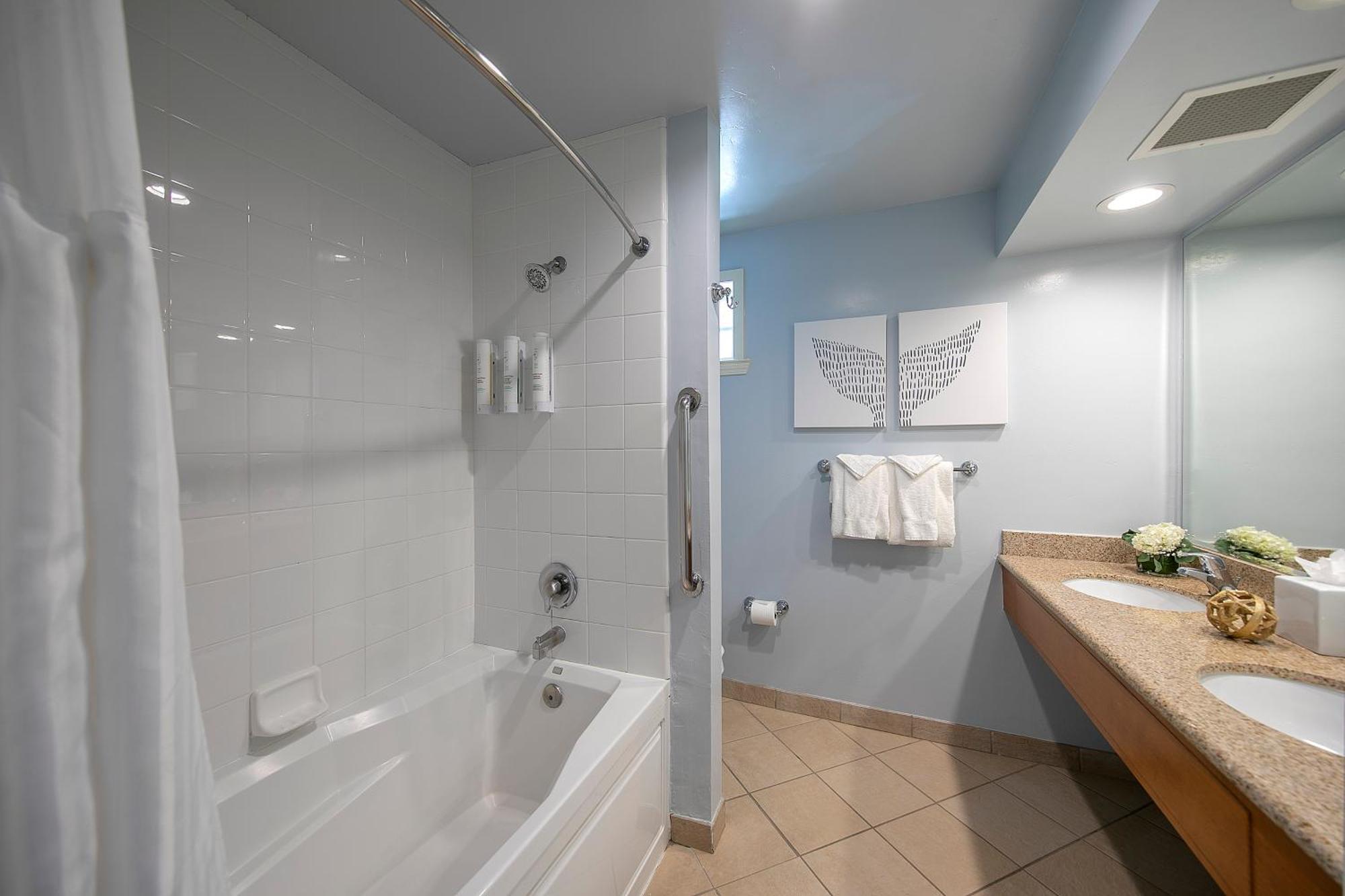 King Suite with Park View