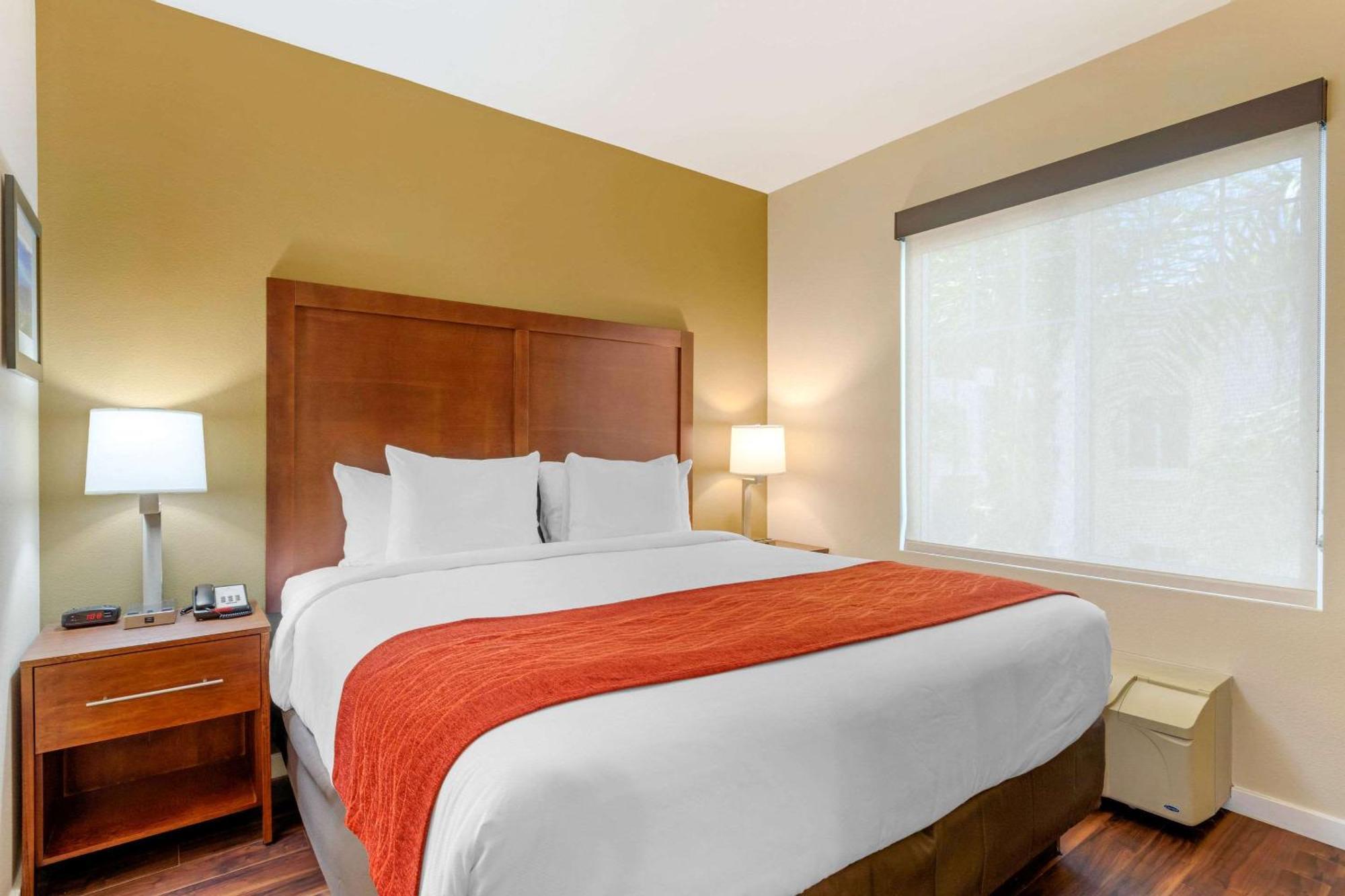 Suite, 1 King Bed with Sofa Bed, Non Smoking