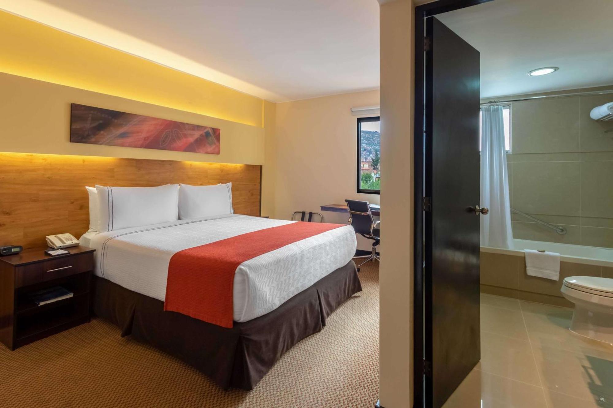 Habitación Doble Estándar con 1 cama doble