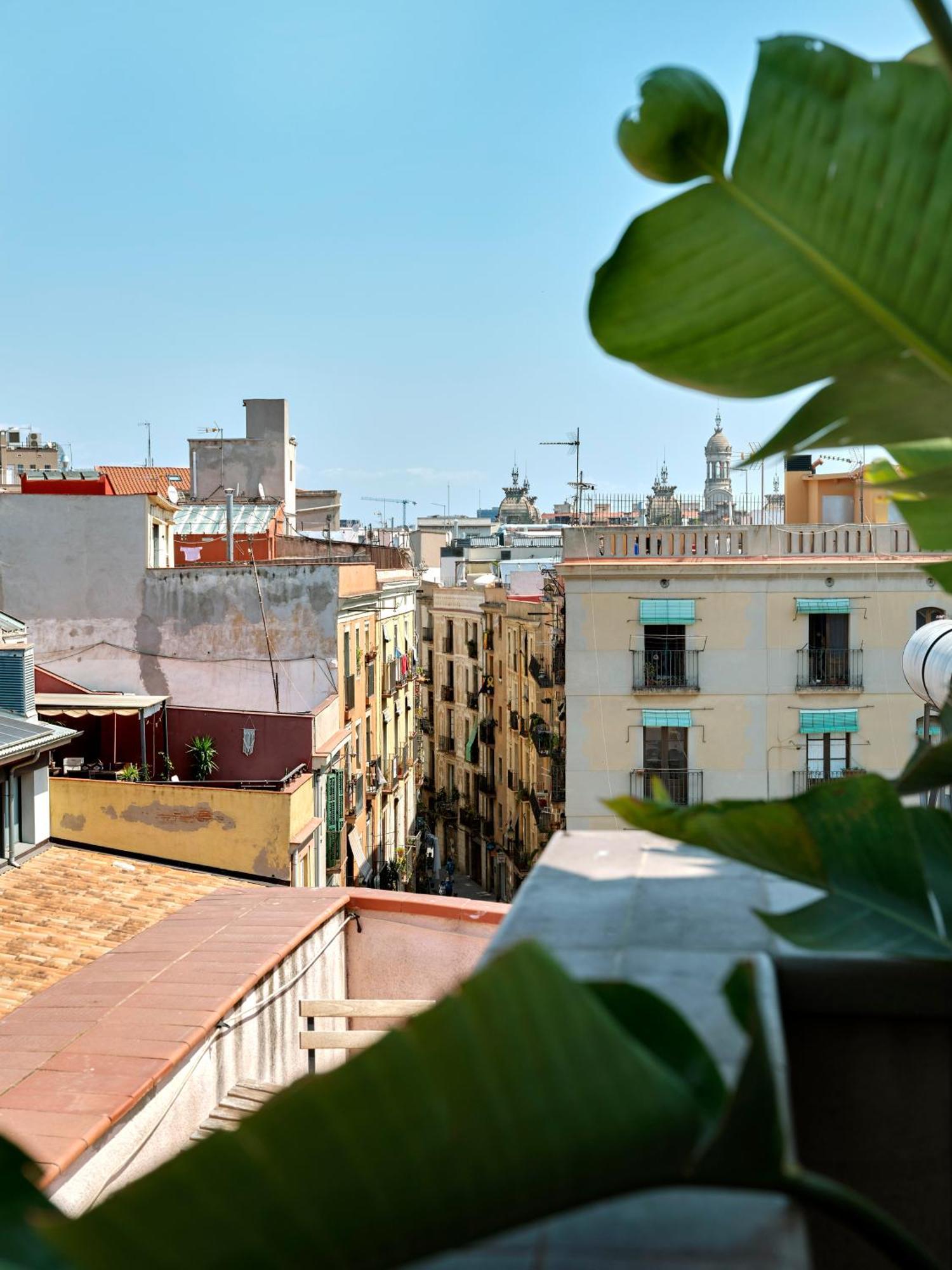 Junior Suite mit Terrasse