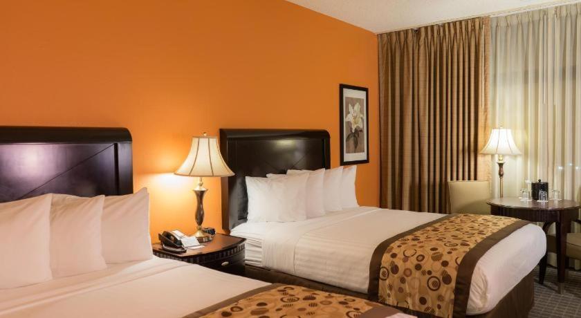 Standard Two Queen Room
