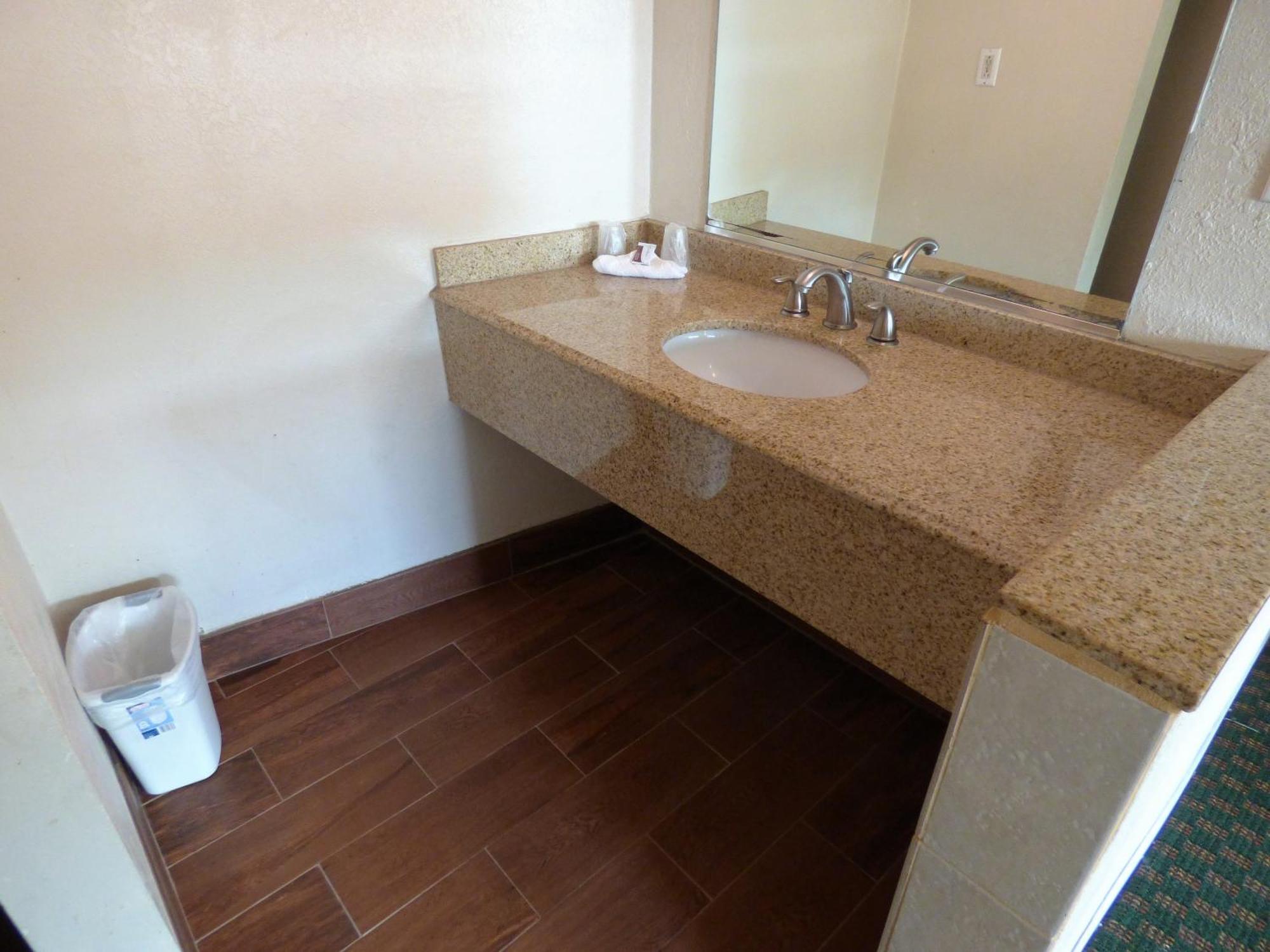 King Room with Roll-In Shower - Mobility and Hearing Access