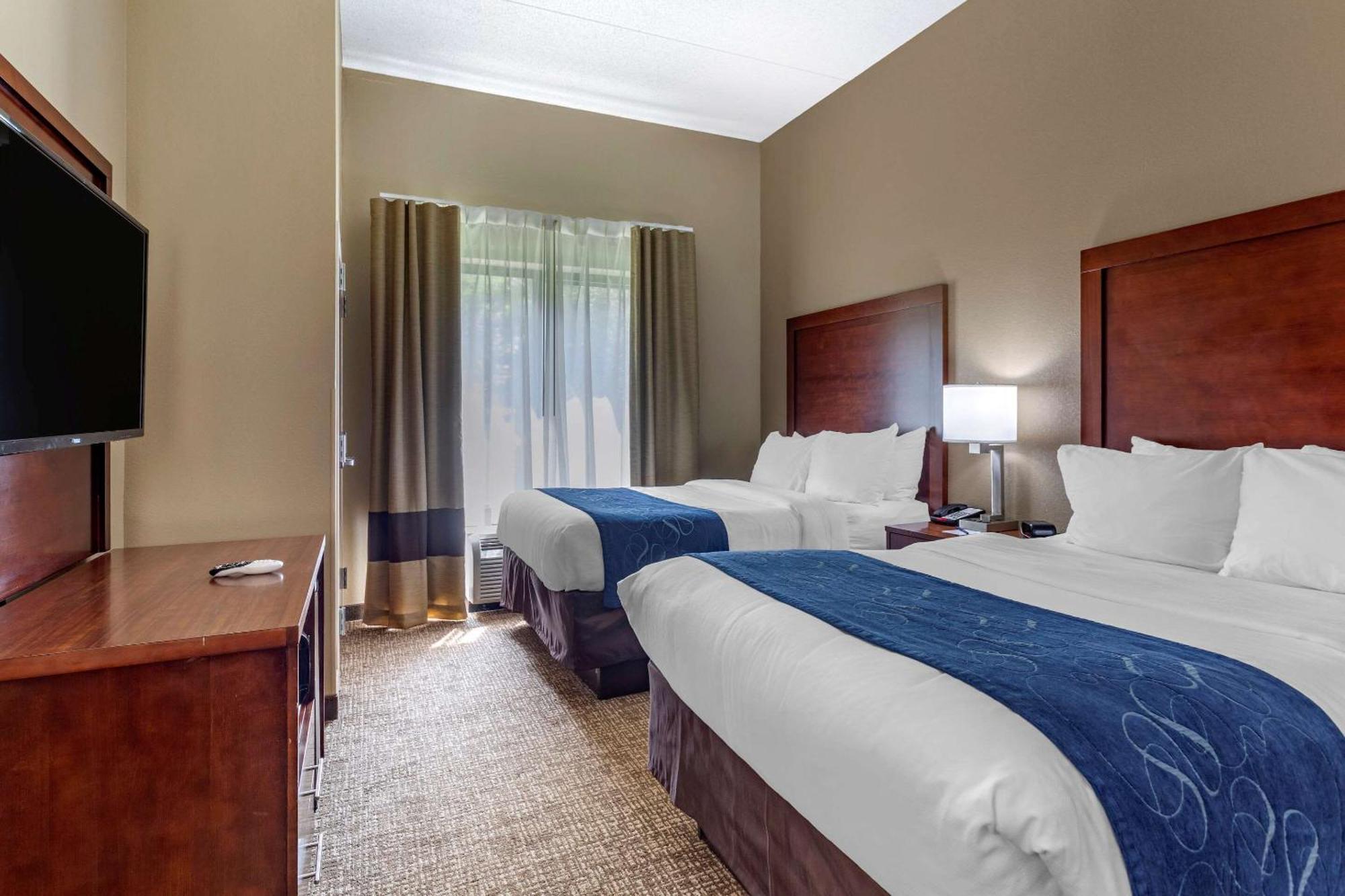 Standard Suite