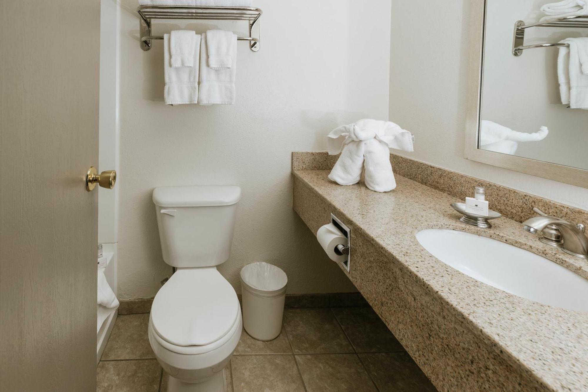 Apartamento con 1 dormitorio