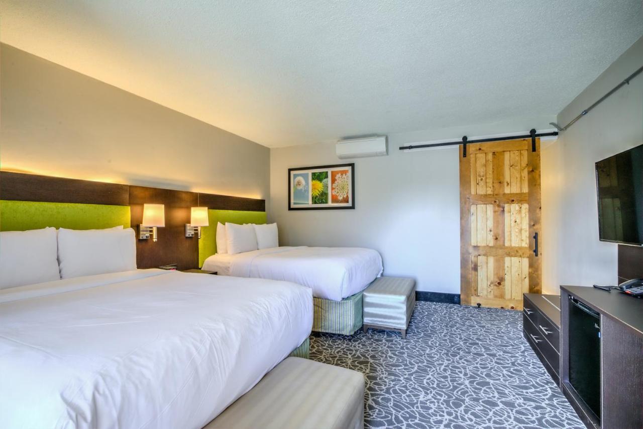 Chambre avec 2 Lits Queen-Size - Accessible aux Personnes à Mobilité Réduite - Non-Fumeurs