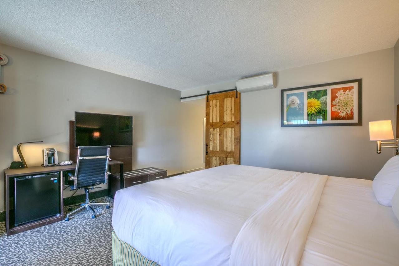Chambre Lit King-Size - Accessible aux Personnes à Mobilité Réduite/Non-Fumeurs