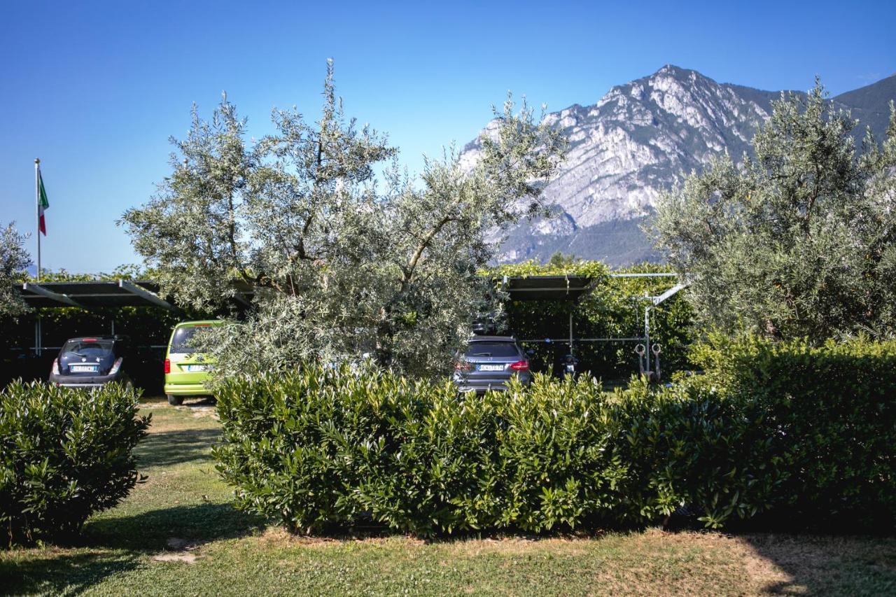 Apartment - Erdgeschoss
