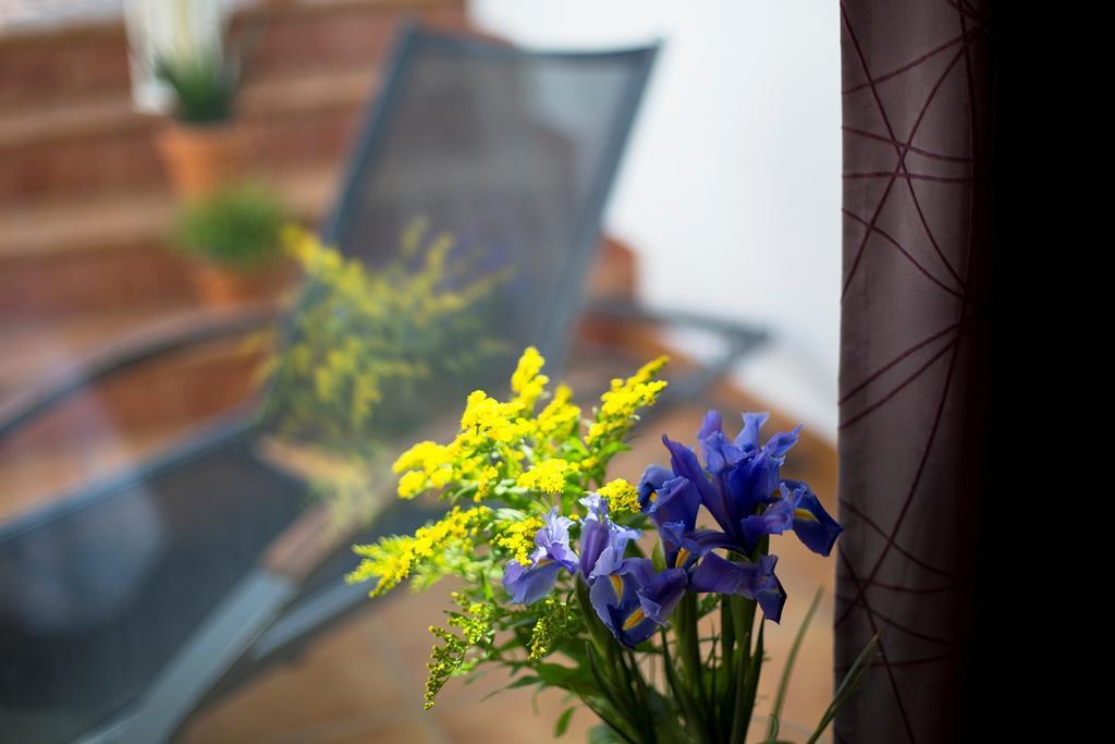 Tweepersoonskamer met 2 Aparte Bedden en een Terras
