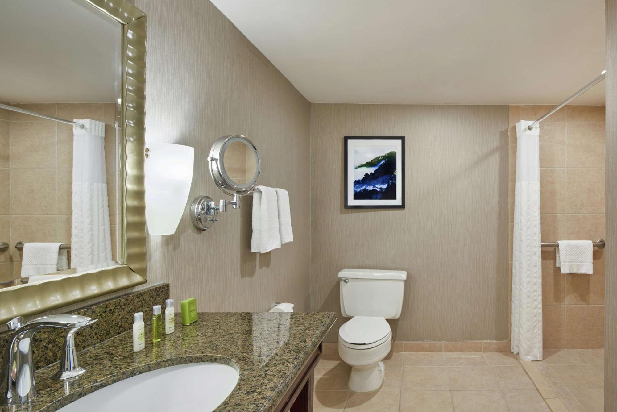 King Room with Roll-In Shower - Mobility/Hearing Accessible