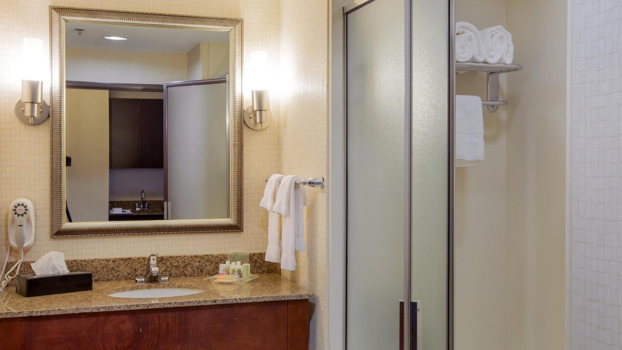 One-Bedroom King Suite