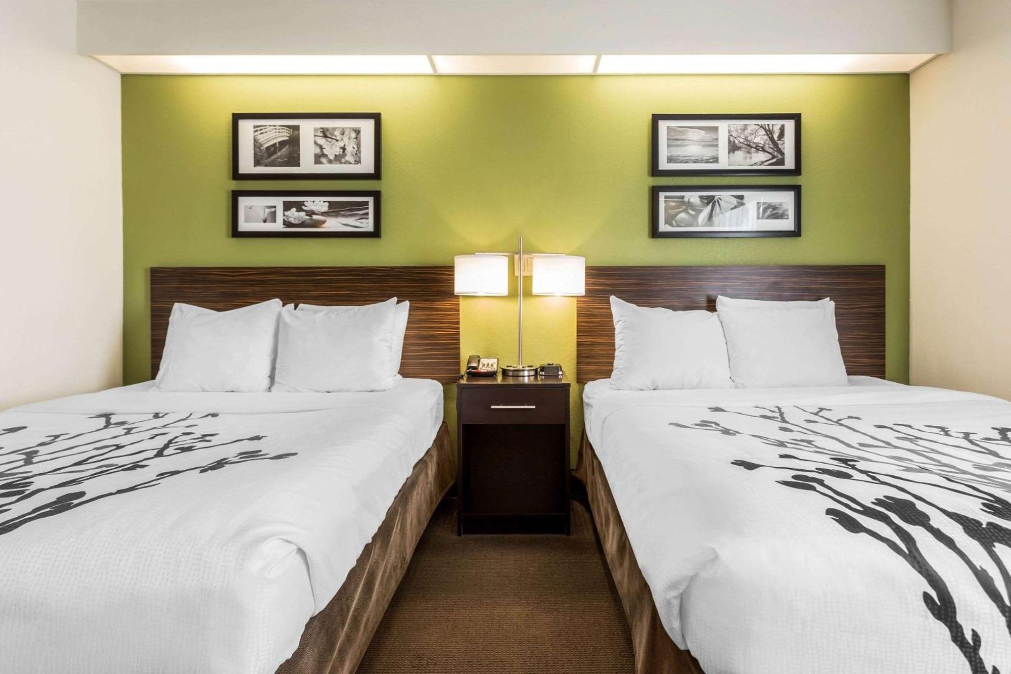 Standard Queen Room
