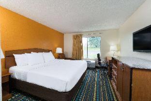 King Room - Pet Friendly/Smoking