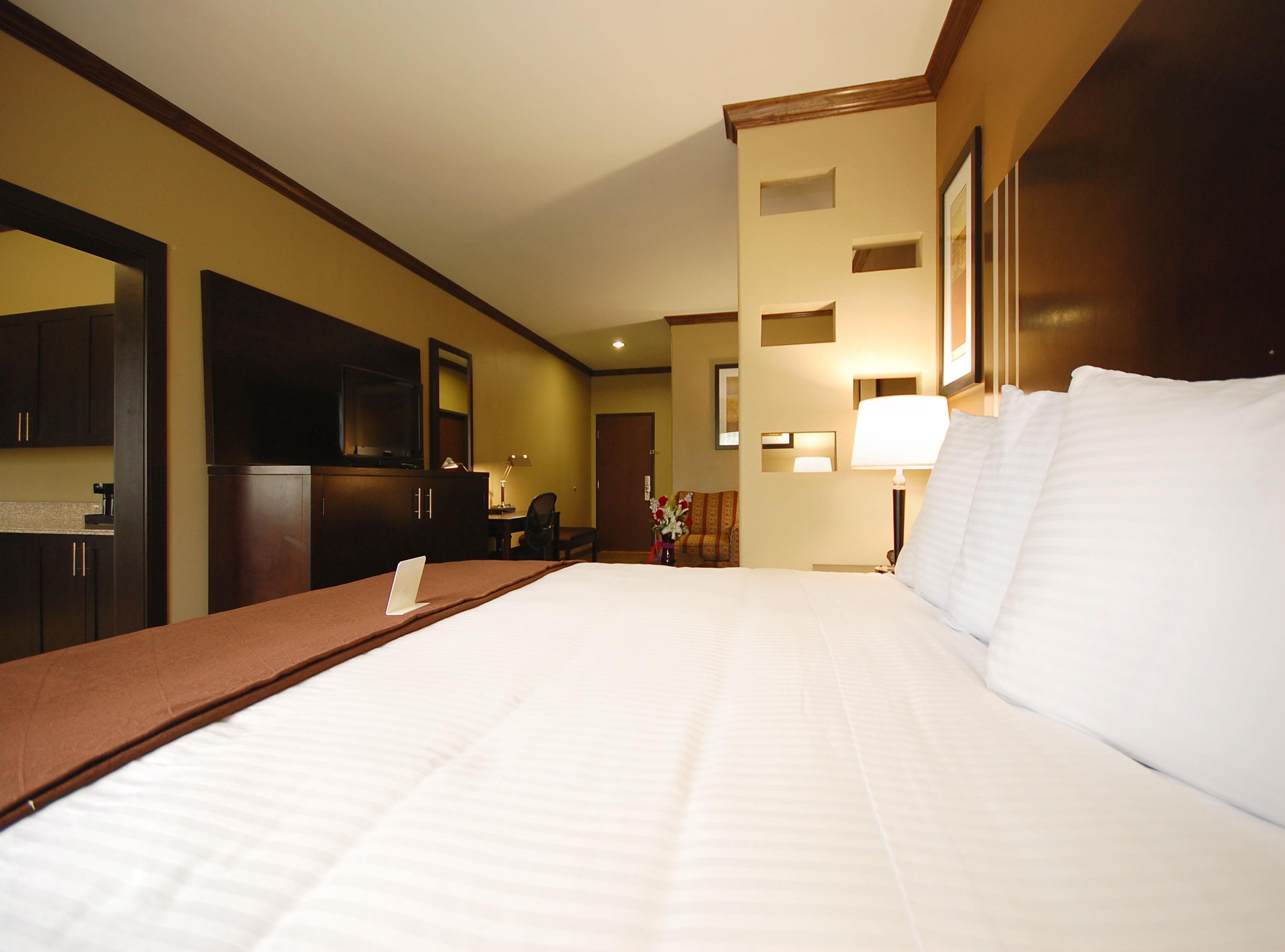 King Suite with Sofa Bed and Kitchen - Non-Smoking