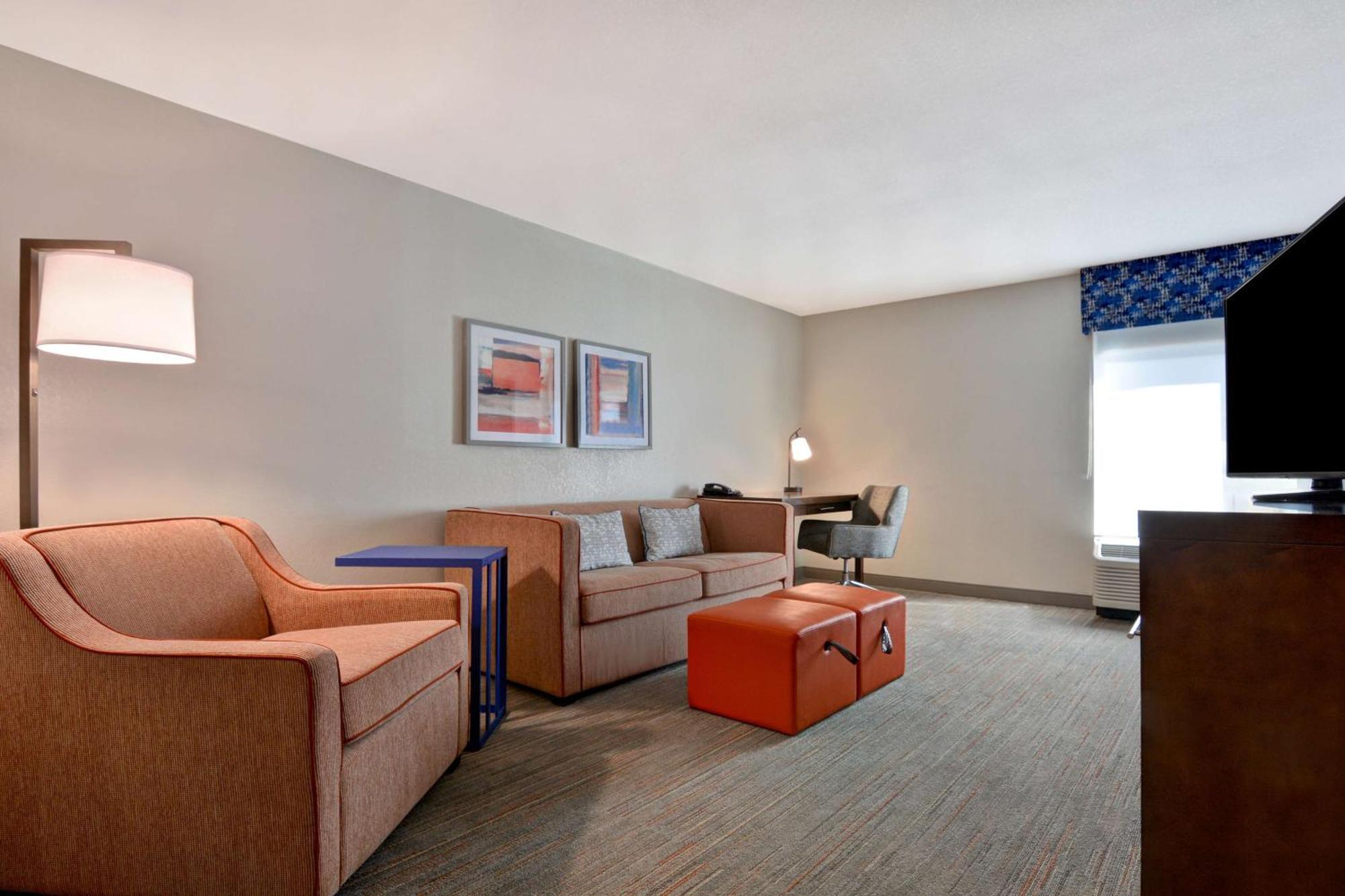 One-Bedroom King Suite with Sofa Bed - Non-Smoking