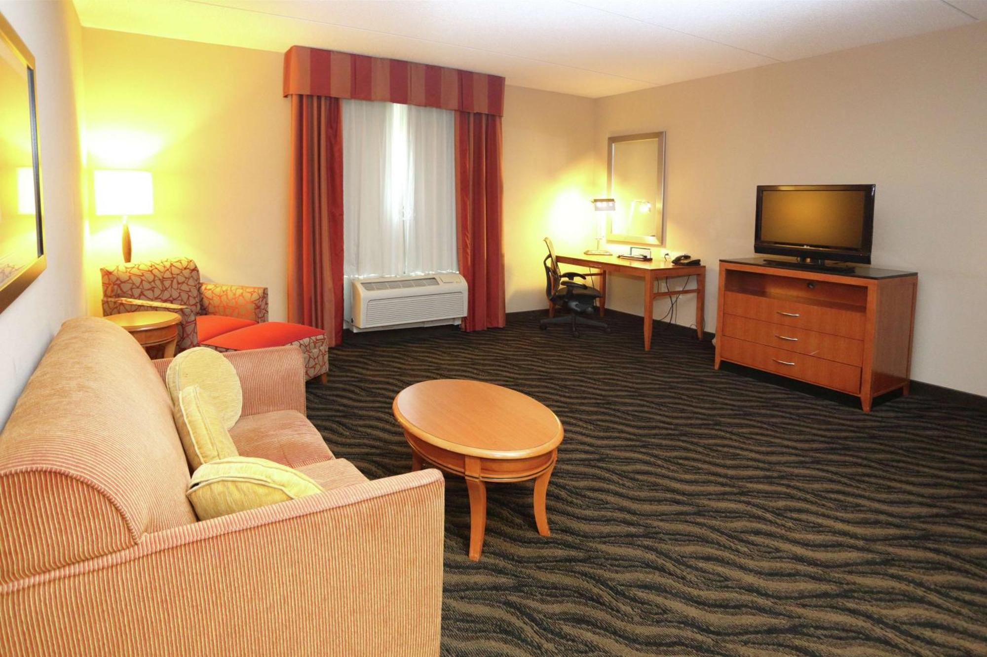 One-Bedroom King Suite