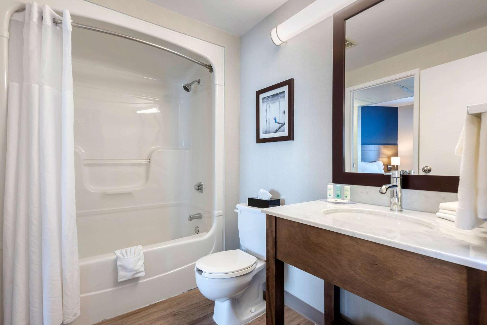 King Suite with Sofa Bed - Non-Smoking