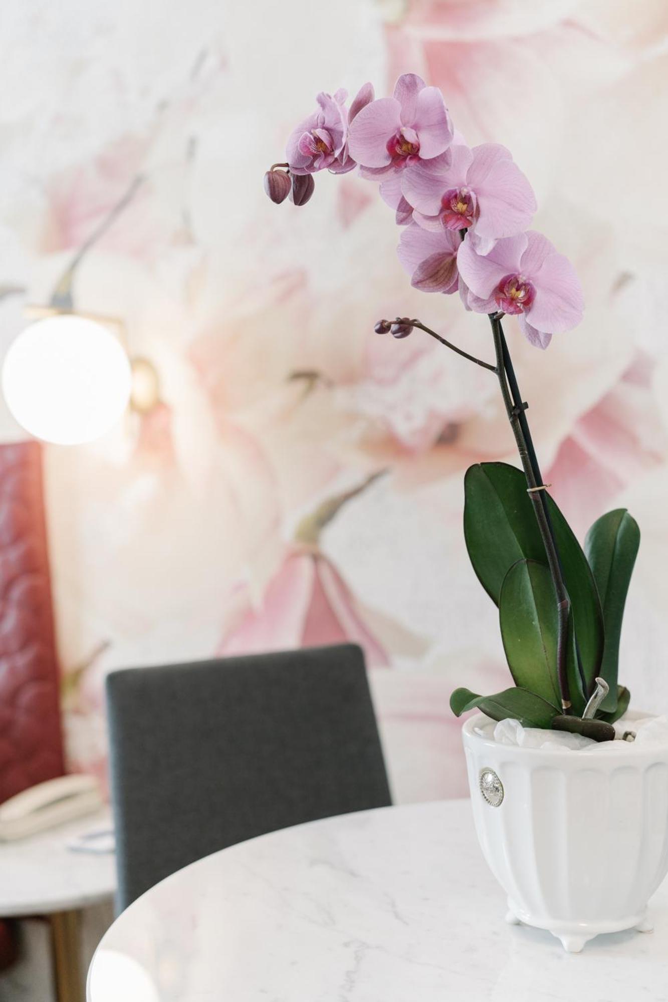 Suite con Terrazza