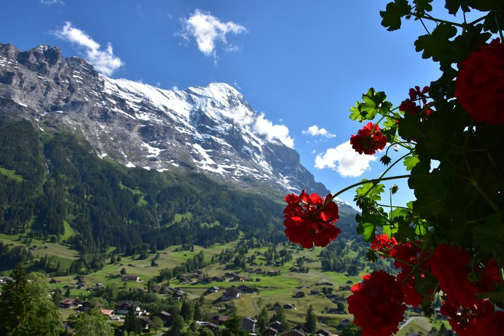 Superior Doppelzimmer mit Blick auf den Eiger und Balkon