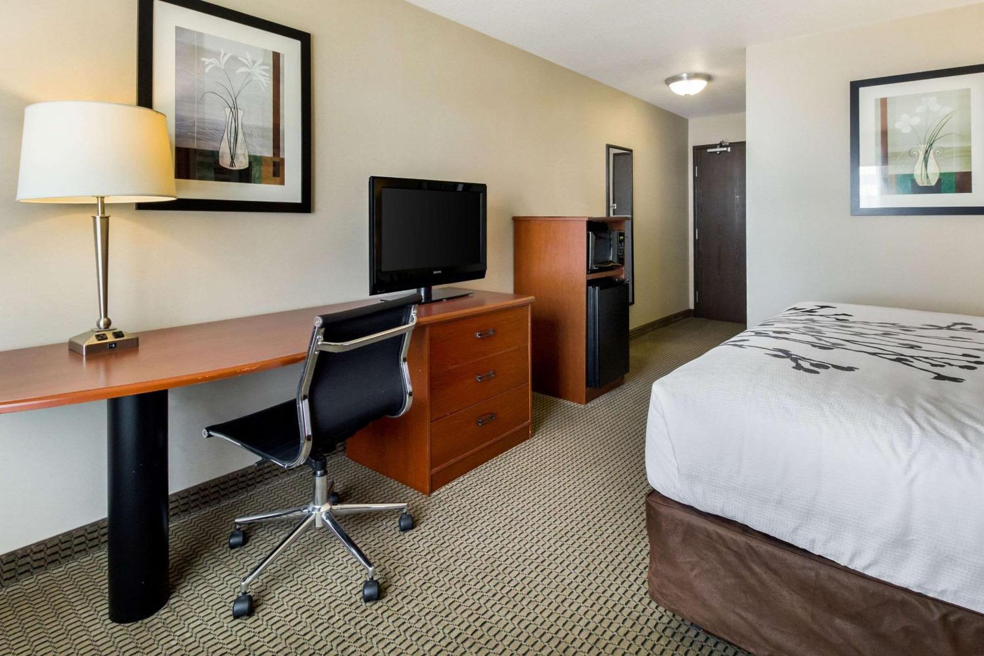 Standard King Room - Non-Smoking