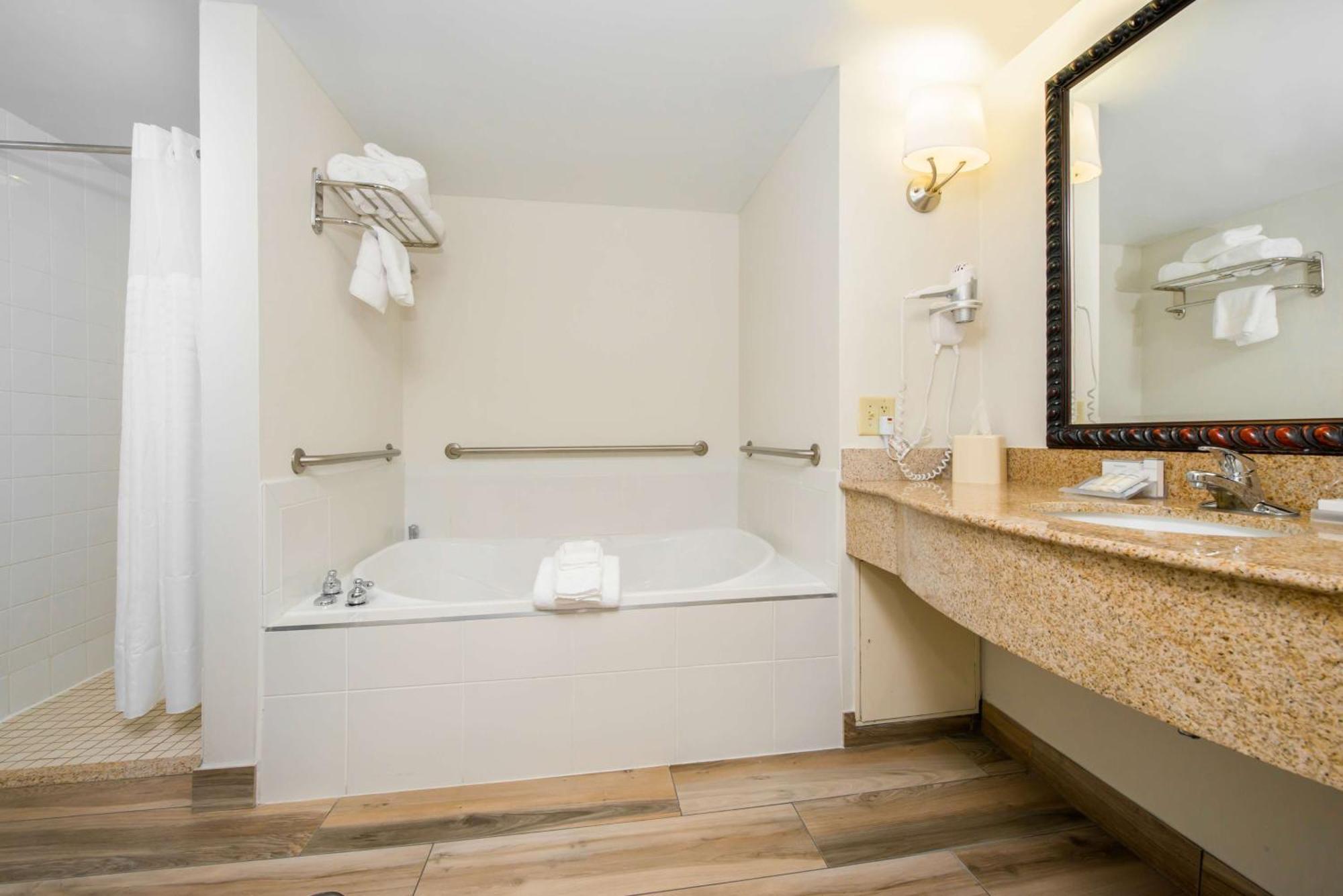 One-Bedroom King Suite