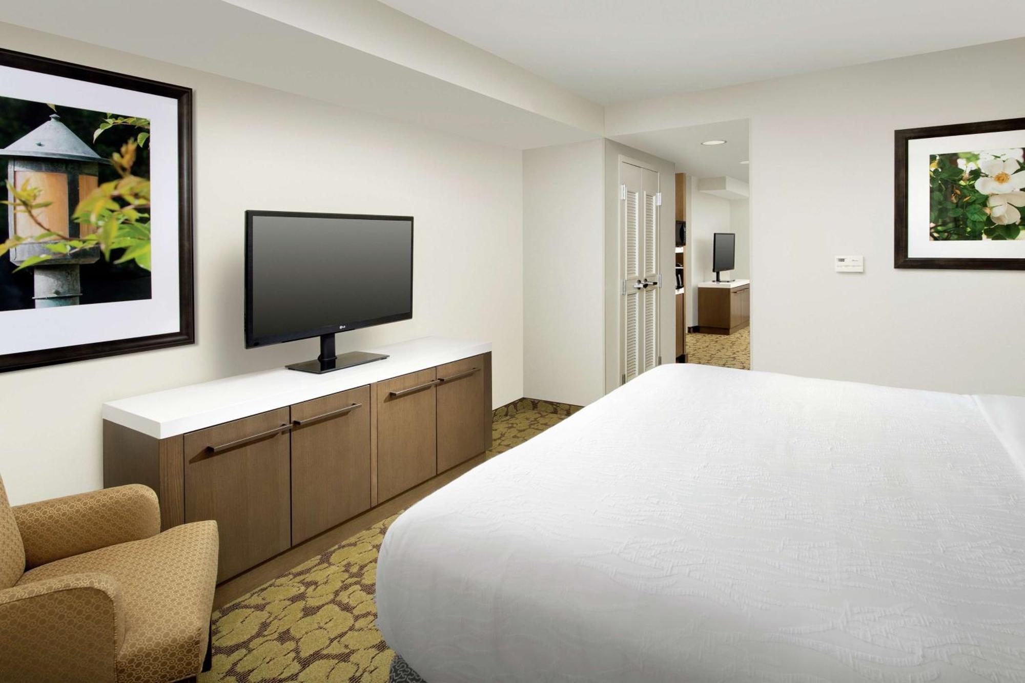 Junior King Suite with Sofa Bed