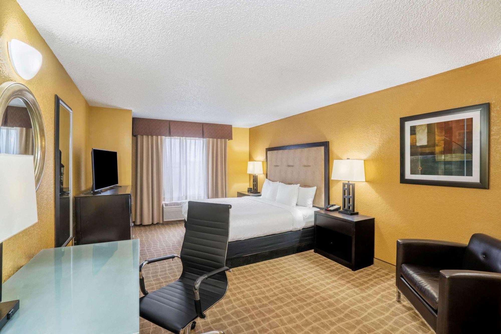 King Room