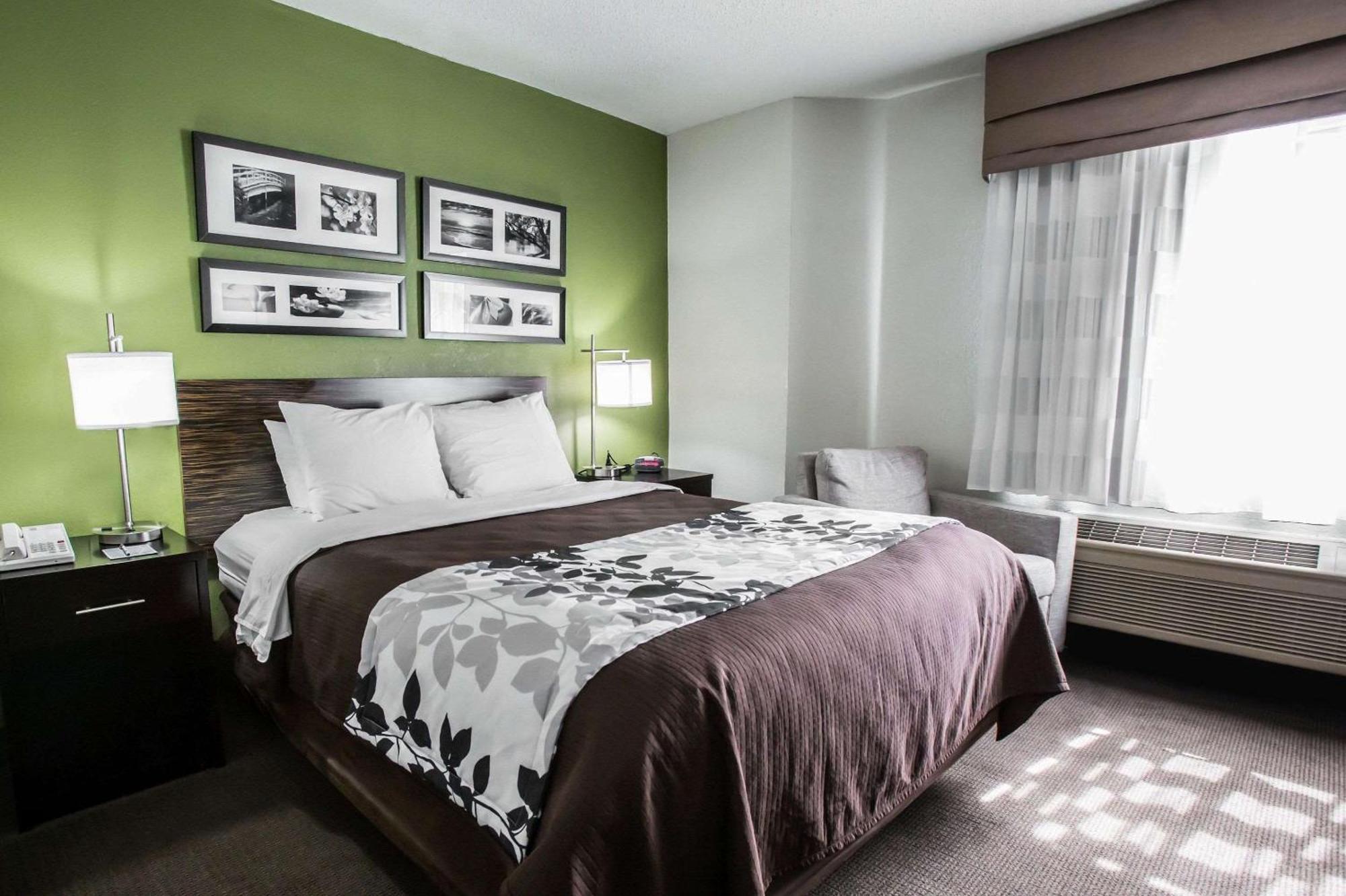 Queen Room - Disability Access/Non-Smoking