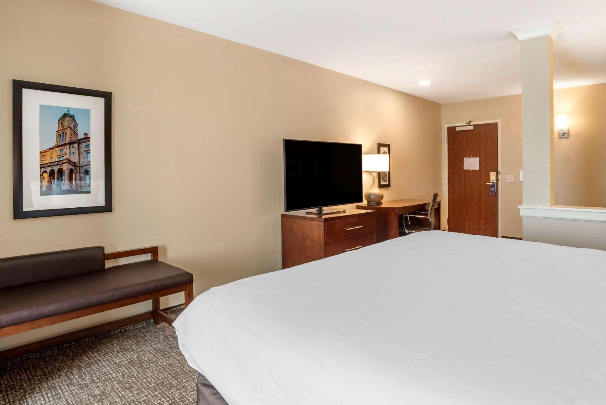 King Suite with Sofa Bed - Accessible/Non Smoking