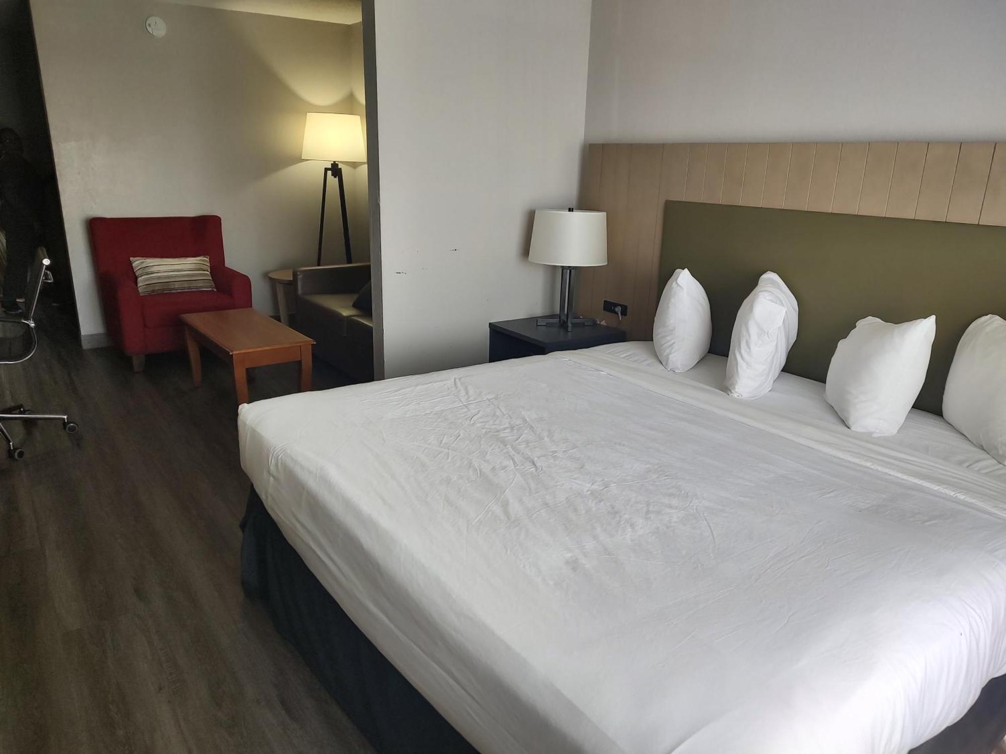 One-Bedroom King Suite - Non-Smoking